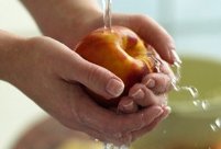 Sicurezza ed igiene alimentare